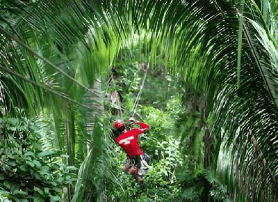Jungle Adventures That Feel Like a Movie