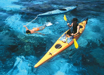 Snorkel With Sharks (Safely!)