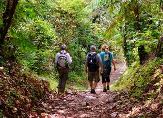 Hiking and Wildlife Watching in National Parks