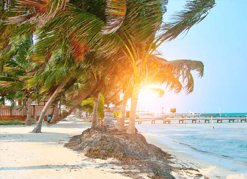 Belize's Tropical Climate at a Glance
