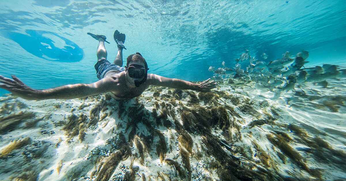 Snorkeling in Belize: A Must-Do Adventure for Tourists