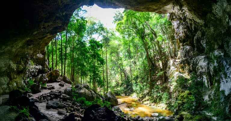 Top 10 Must-See Destinations in Belize for Nature Lovers