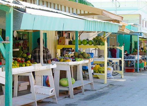 Mennonite Markets