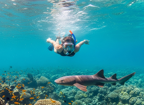 Snorkeling & Water Adventures
