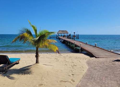 Hamanasi Adventure & Dive Resort – Hopkins