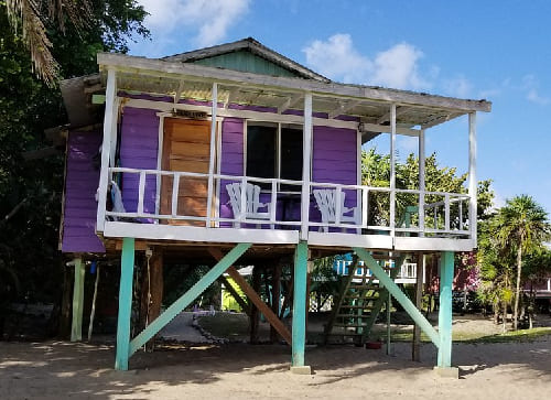 Jungle Jeanie’s by the Sea – Hopkins