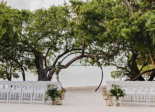 Jungle Celebrations: Wildly Romantic and Naturally Beautiful