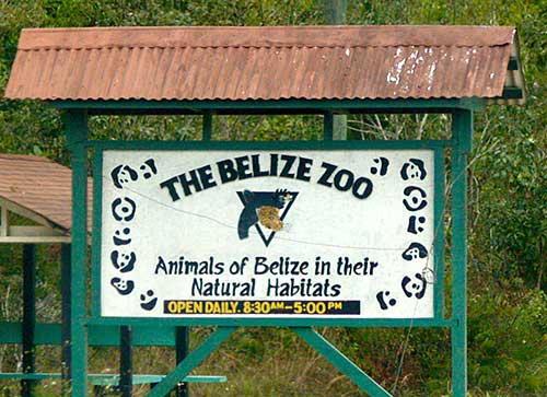 The Belize Zoo