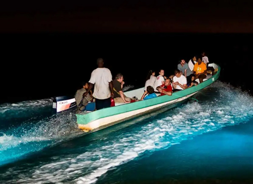 Bioluminescent Lagoon Tours