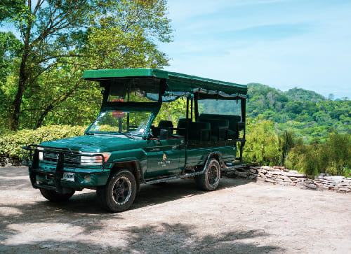 Copal Tree Lodge (formerly Belcampo) – Punta Gorda