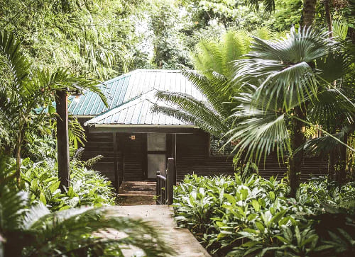 Copal Tree Lodge (formerly Belcampo) – Punta Gorda
