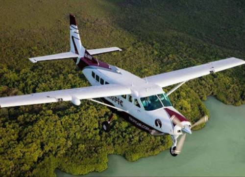 Domestic Flights