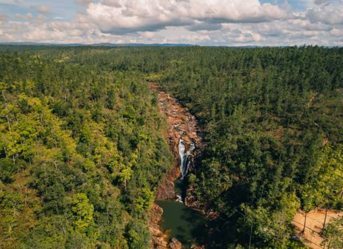Mountain Pine Ridge
