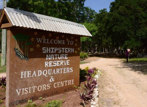 Shipstern Nature Reserve