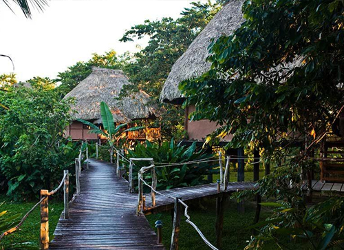 Cotton Tree Lodge
