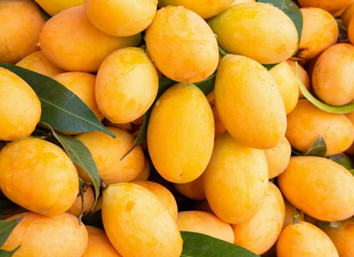 Mangoes in Belize