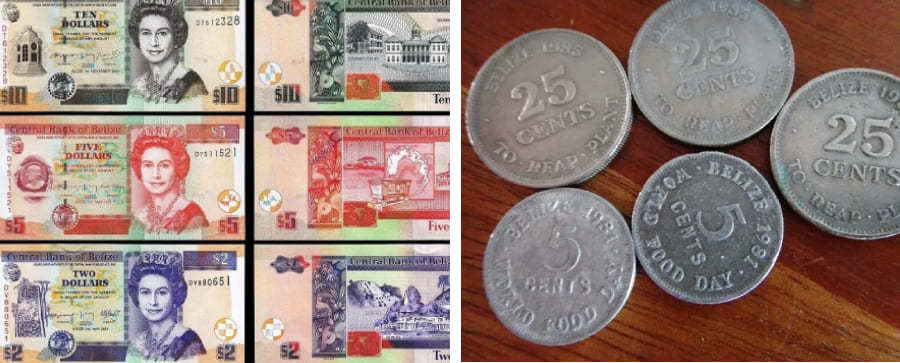 Understanding Belizean Banknotes and Coins