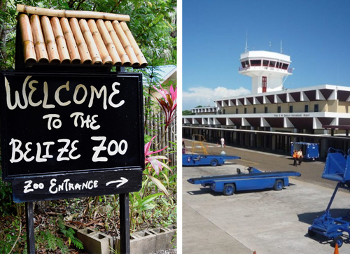 Belize Zoo Stop + Departure