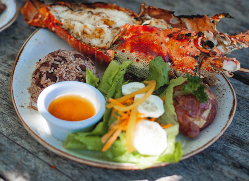 Lobster