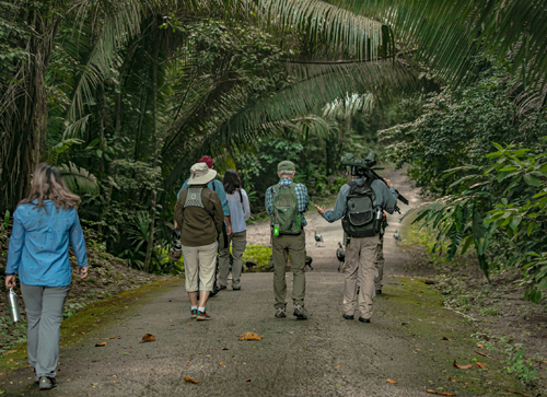 The Hiking Trail Experience
