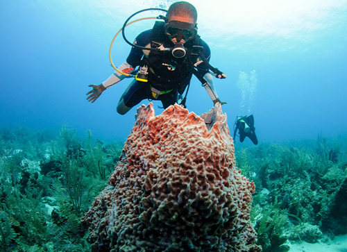Scuba Diving in Belize