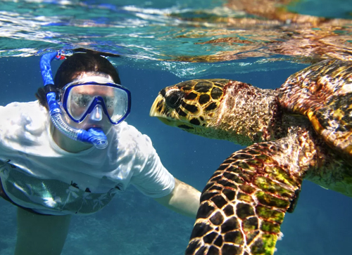Snorkeling in Belize