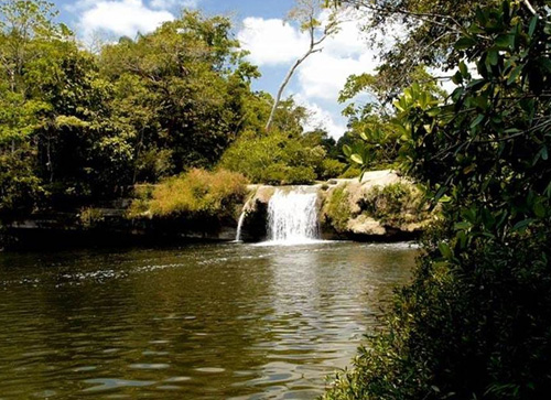 Sarstoon-Temash National Park