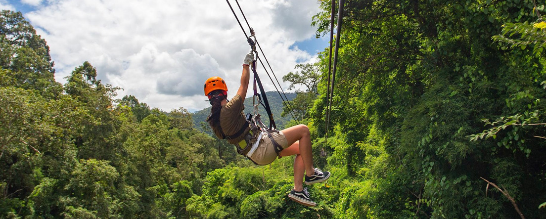 Zipline Adventure