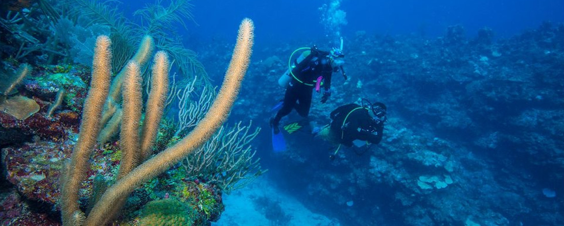 Diving the Great Blue Hole