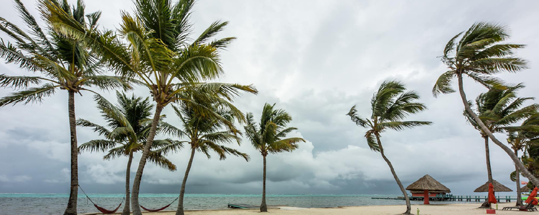 Hurricane Season & Tropical Storm Awareness