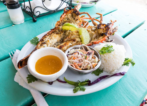 Food & Drink for First-Timers