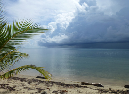 The rainy season