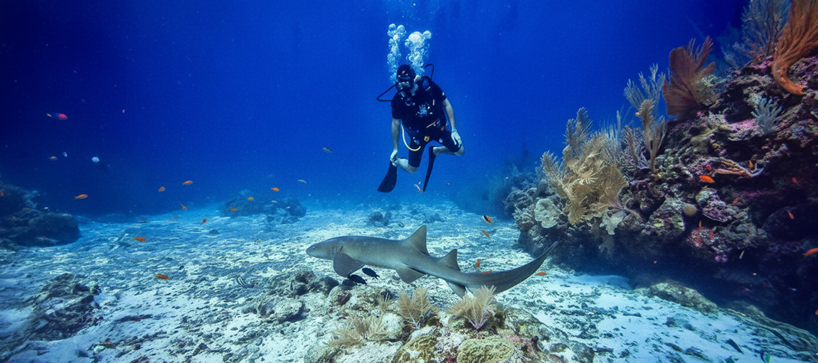 Dive or Snorkel Southwest Caye for Pristine Reefs