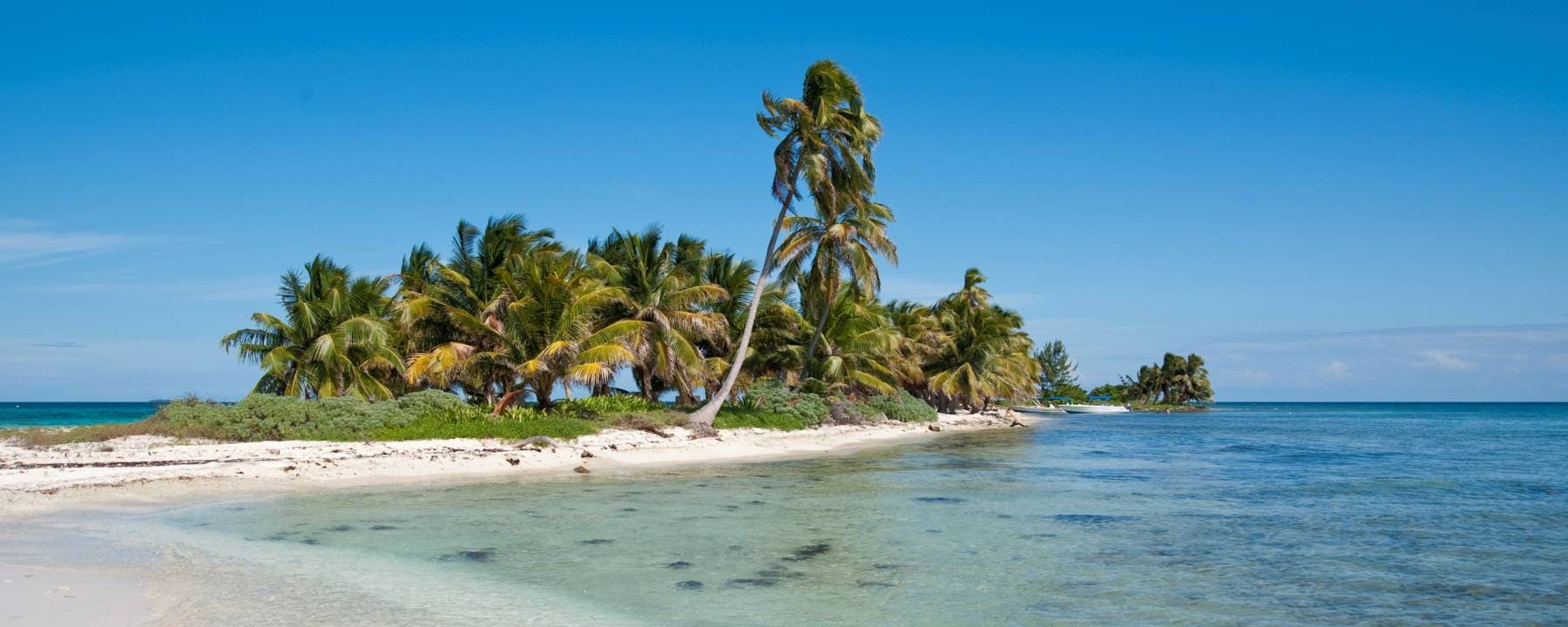 Lamanai by Jungle River Safari