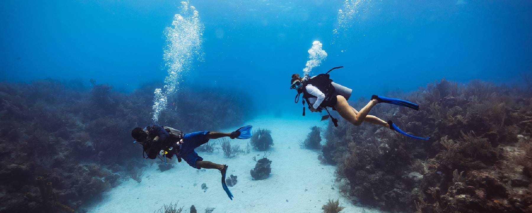 Lamanai by Jungle River Safari