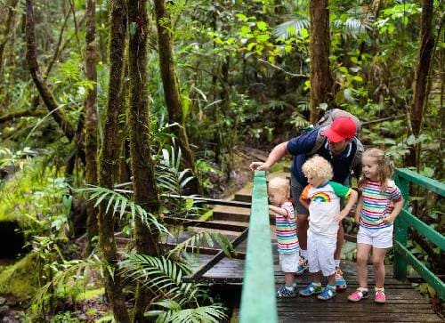 Laughing Bird Caye National Park – A Coral Wonderland