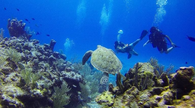 Best Places for Snorkeling in Belize This Dry Season