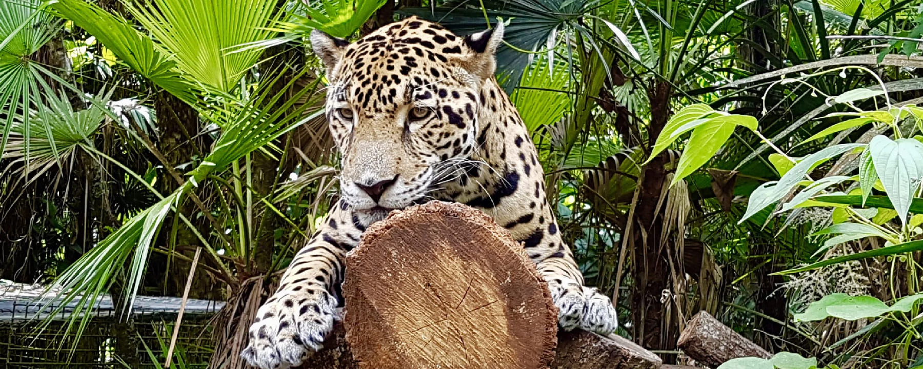 Wildlife & Nature Experiences