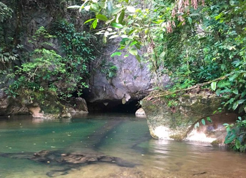Footprint Cave (Caves Branch Area)
