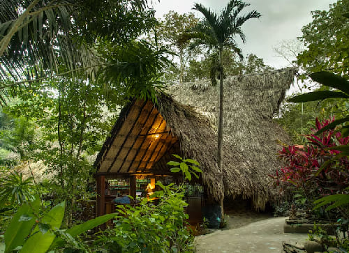 Black Rock Lodge – San Ignacio Area