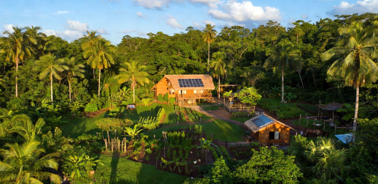 Eco-Friendly Farm Stays for Sustainable Travelers in Belize
