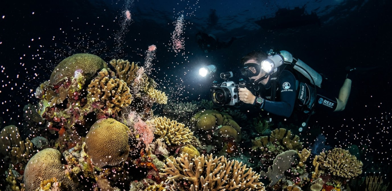 Photography Tips for Capturing Coral Spawning in Belize’s Reef