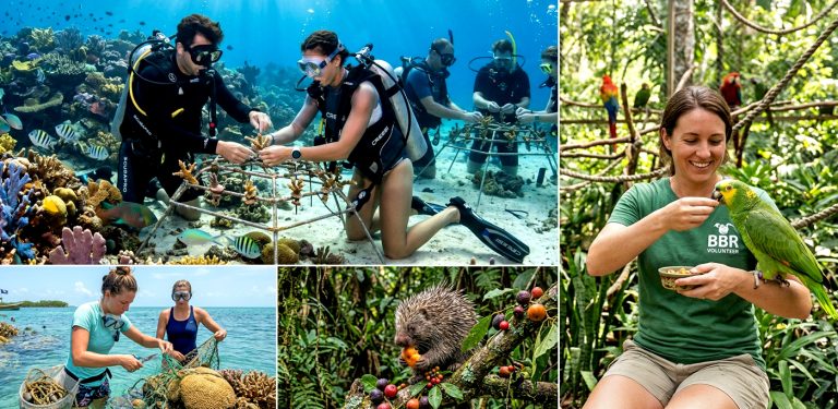 How to Plan an Eco-Volunteering Trip in Belize This Spring