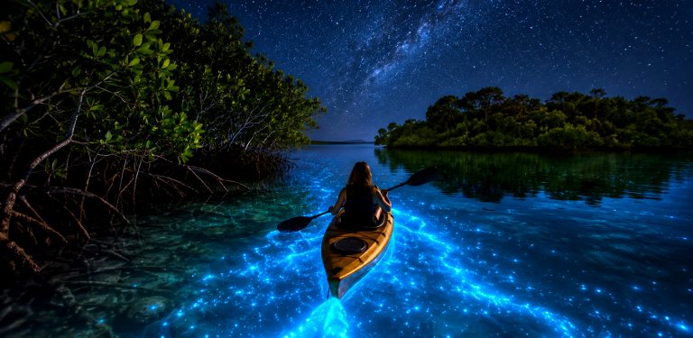 Where to See Bioluminescence in Belize’s Wet Season