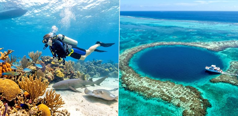 Top Diving Sites in Belize for Summer Travelers