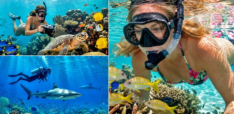 Best Snorkeling Tours Available During September